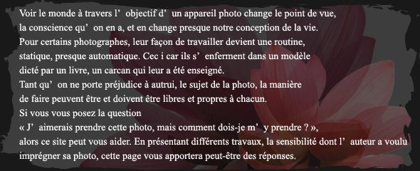 Le fait de porter un appareil photo change le point de vue et la conscience,
 c’est-à-dire que c’est un grand fait qui change la conception de la vie. 
En outre, il y a des gens dont le style, avec le temps, devient routinier. 
C’est parce qu’ils sont enfermés par le point de vue et la conscience que 
leur donnent des livres ou ceux qui leur enseignent. 
A partir du moment où vous ne gênez personne, la façon et la méthode pour 
photographier sont libres. Si, après que avoir vu diverses sensibilités sur ce site,
 vous vous posez des questions comme : « On souhaite photographier comme ceci, 
mais on ne sait pas comment », le club de photo You You est là pour y répondre.