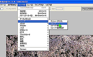 手順５：「フィルタ」から「シャープ」を選びシャープを実行する。