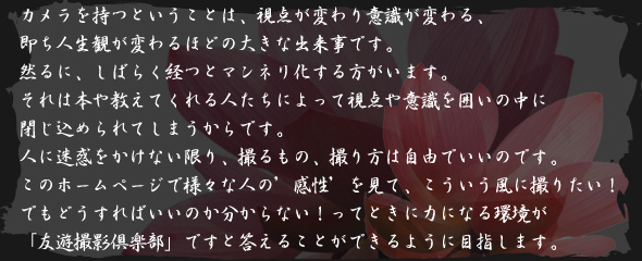 カメラを持つということは、視点が変わり意識が変わる、即ち人生観が変わるほどの大きな出来事です。然るに、しばらく経つとマンネリ化する方がいます。それは本や教えてくれる人たちによって視点や意識を囲いの中に閉じ込められてしまうからです。人に迷惑をかけない限り、撮るもの、撮り方は自由でいいのです。このホームページで様々な人の’感性’を見て、こういう風に撮りたい！でもどうすればいいのか分からない！ってときに力になる環境が「友遊撮影倶楽部」ですと答えることができるように目指します。